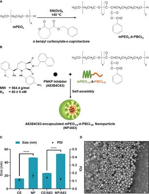 Nano-Delivery of a Novel Inhibitor of Polynucleotide Kinase/Phosphatase (PNKP) for Targeted Sensitization of Colorectal Cancer to Radiation-Induced DNA Damage